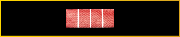 Velcro Backed Ribbon